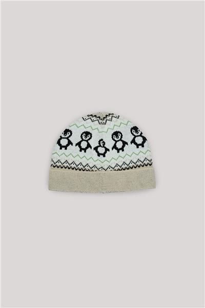 Layette Erkek Bebek Desenli Bere