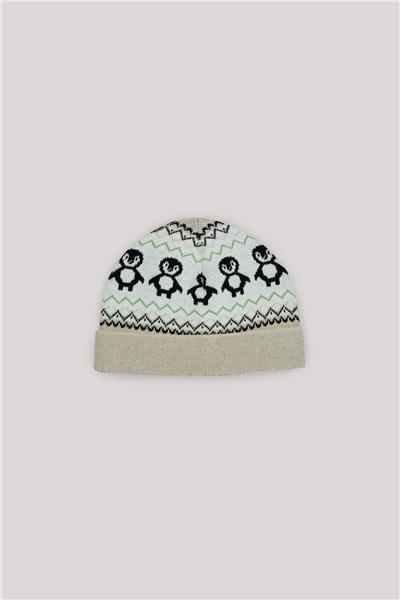 Layette Erkek Bebek Desenli Bere