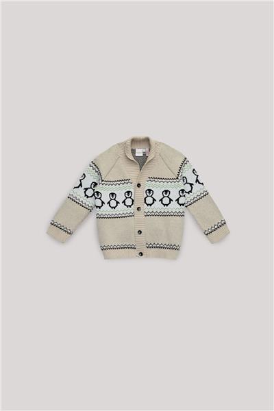 Layette Erkek Bebek Desenli Hırka