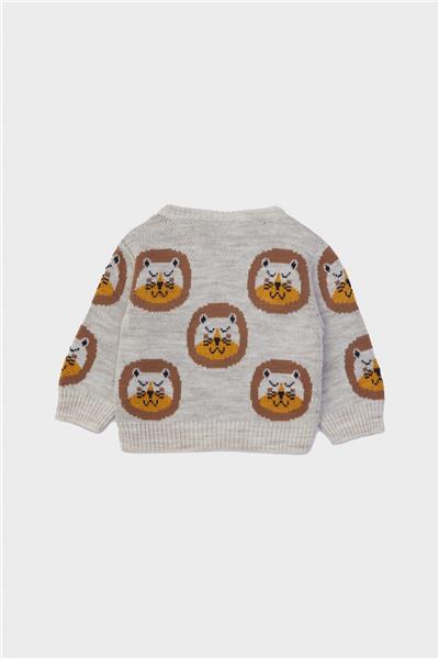 Layette Erkek Bebek Desenli Kazak