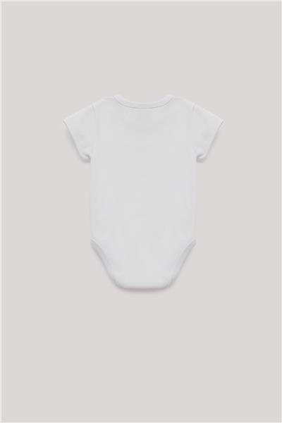 Layette Erkek Bebek Renkli Body