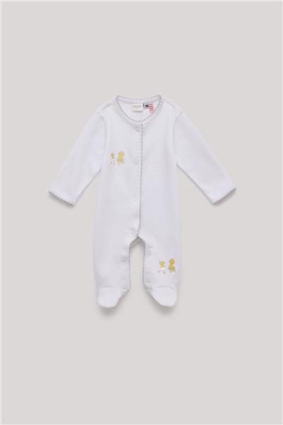 Layette Unisex Renkli Hastane Çıkışı