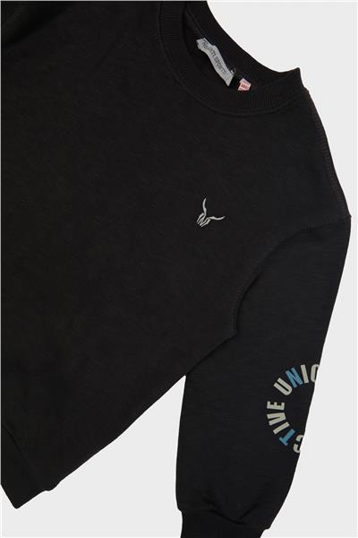 Nebbati Erkek Çocuk Antrasit Sweatshirt