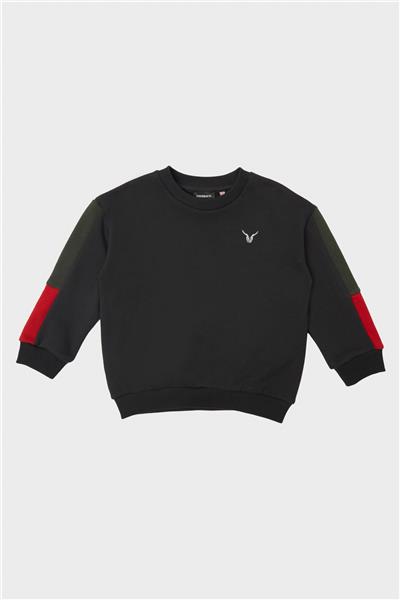 Nebbati Erkek Çocuk Antrasit Sweatshirt