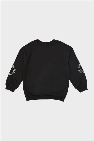 Nebbati Erkek Çocuk Antrasit Sweatshirt
