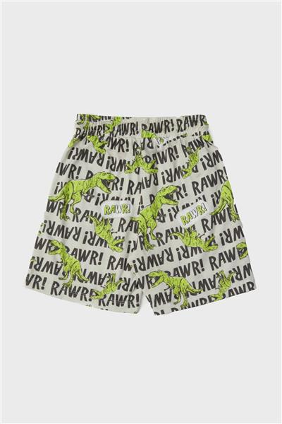 Nebbati Erkek Çocuk Desenli Pijama Takımı