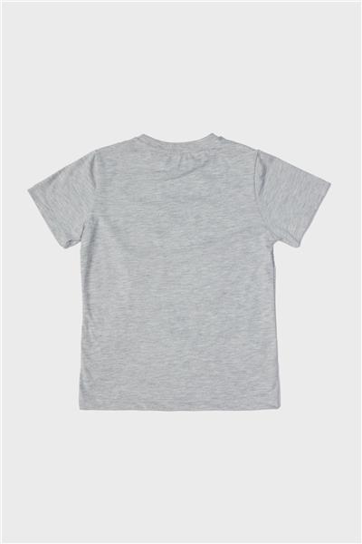 Nebbati Erkek Çocuk Gri T-Shirt