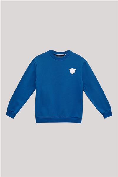 Nebbati Erkek Çocuk Saks Sweatshirt