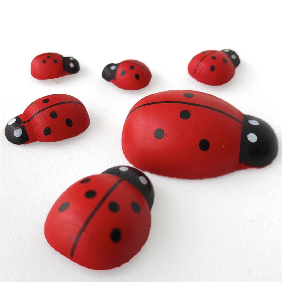 6'lı Uğur Böceği