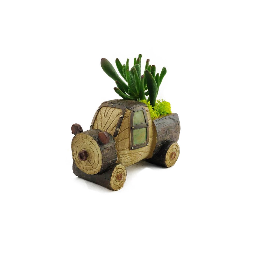  Sukulentli Taş Devri Arabası/ Teraryum Tasarımı