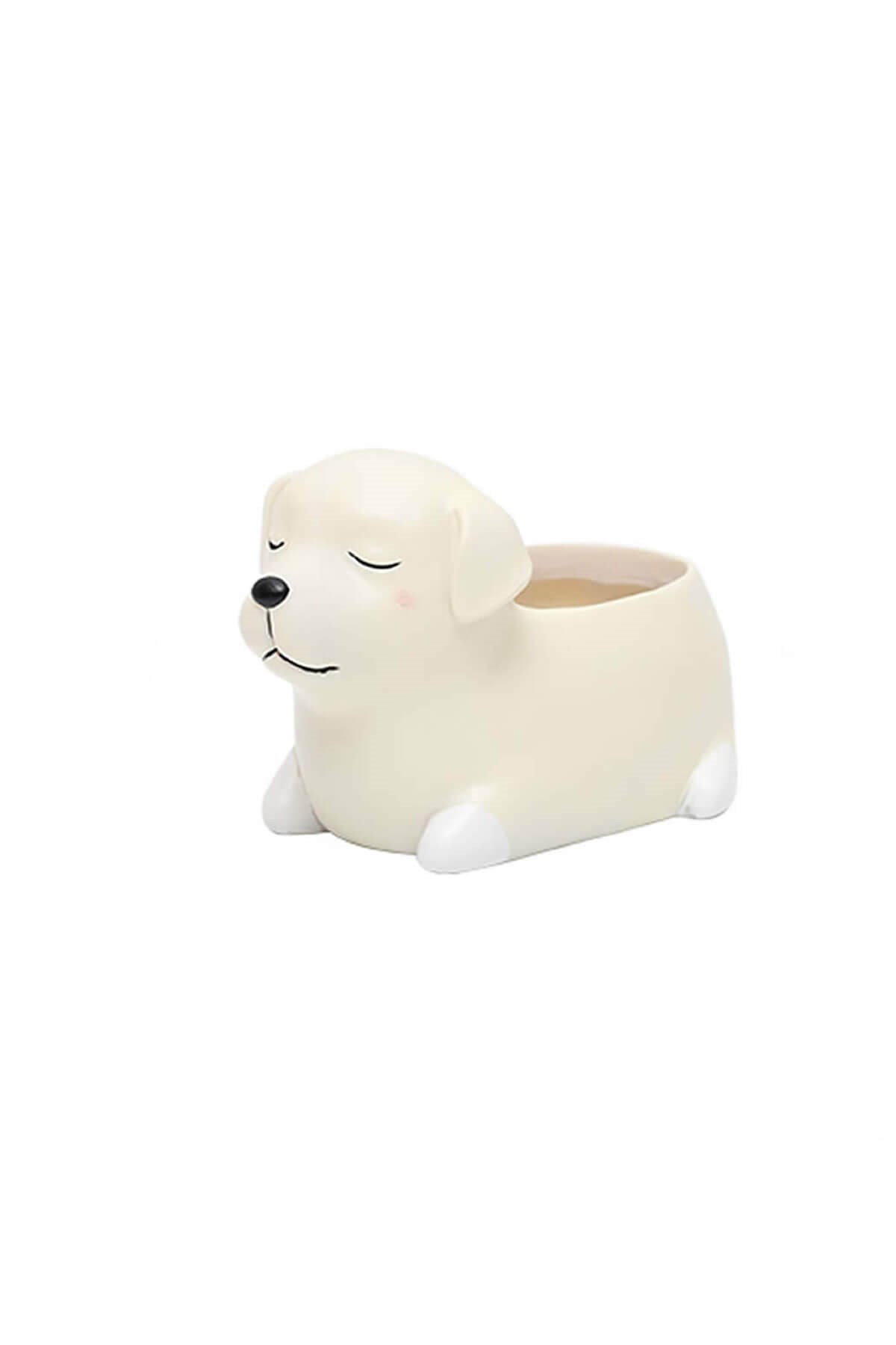 Beyaz Köpek Kaktüs Saksısı