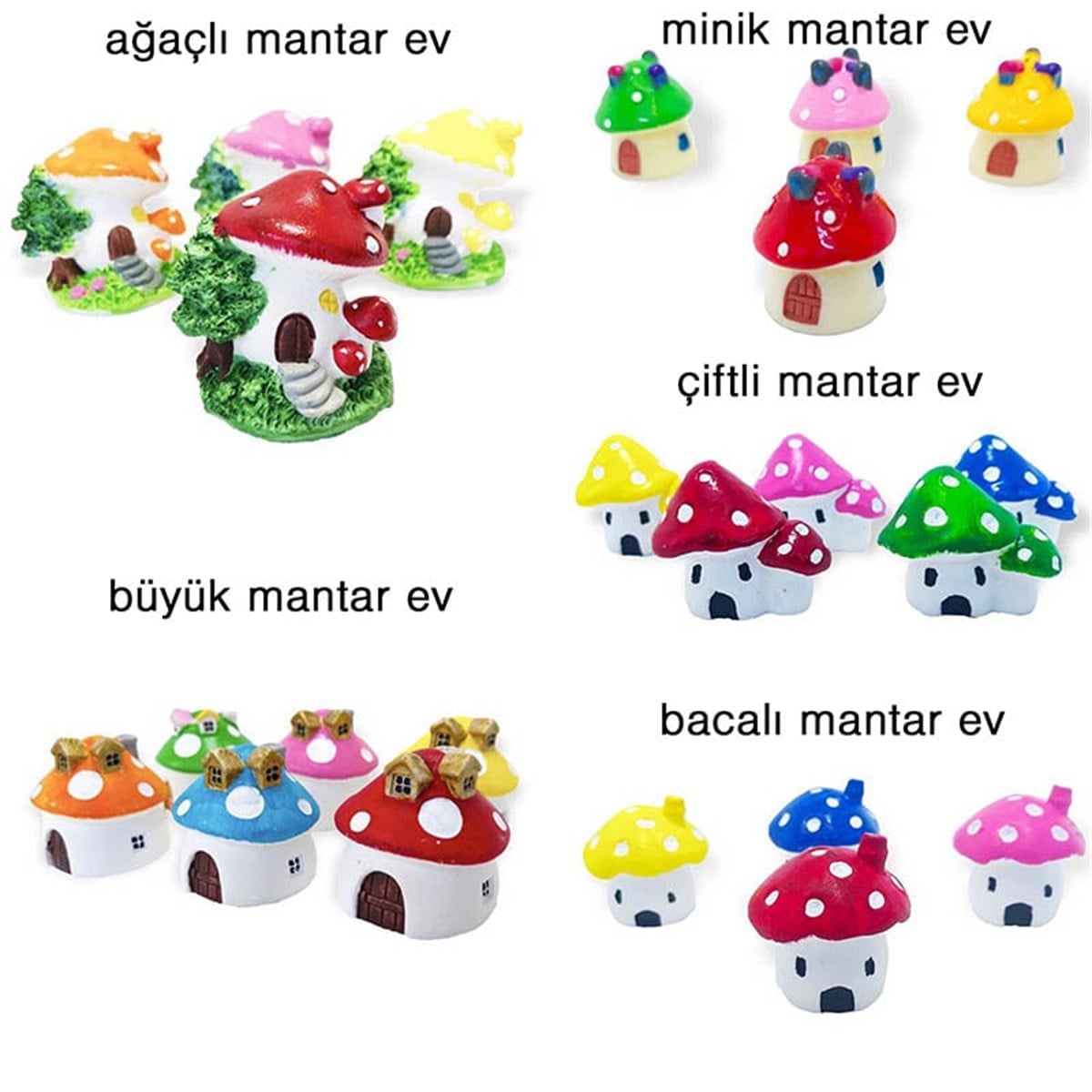 Mantar Evler, Teraryum Evleri