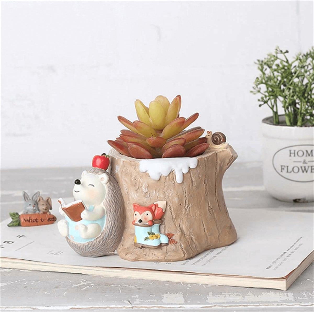 Okuyan Kirpi ve Tilki Kaktüs Saksısı