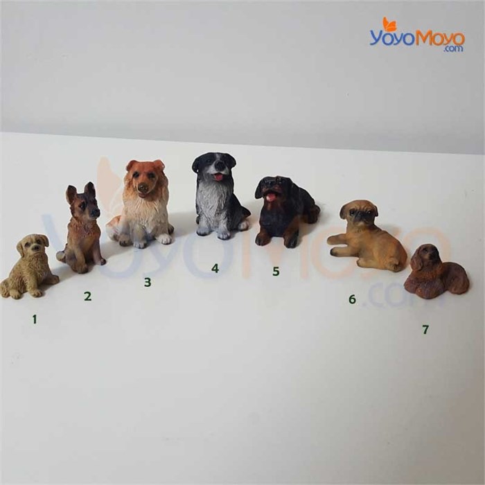 Teraryum Malzemesi Sadık dostum