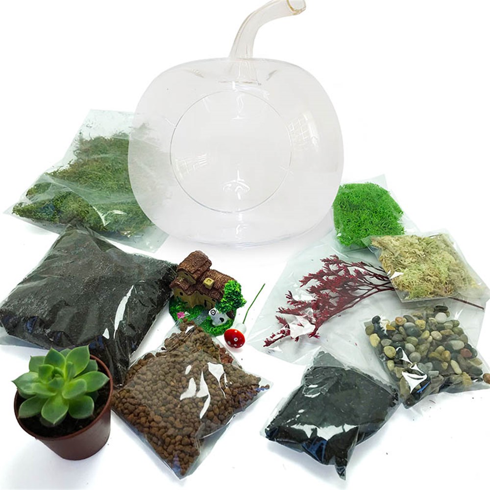 Teraryum Başlangıç Kiti-Elma