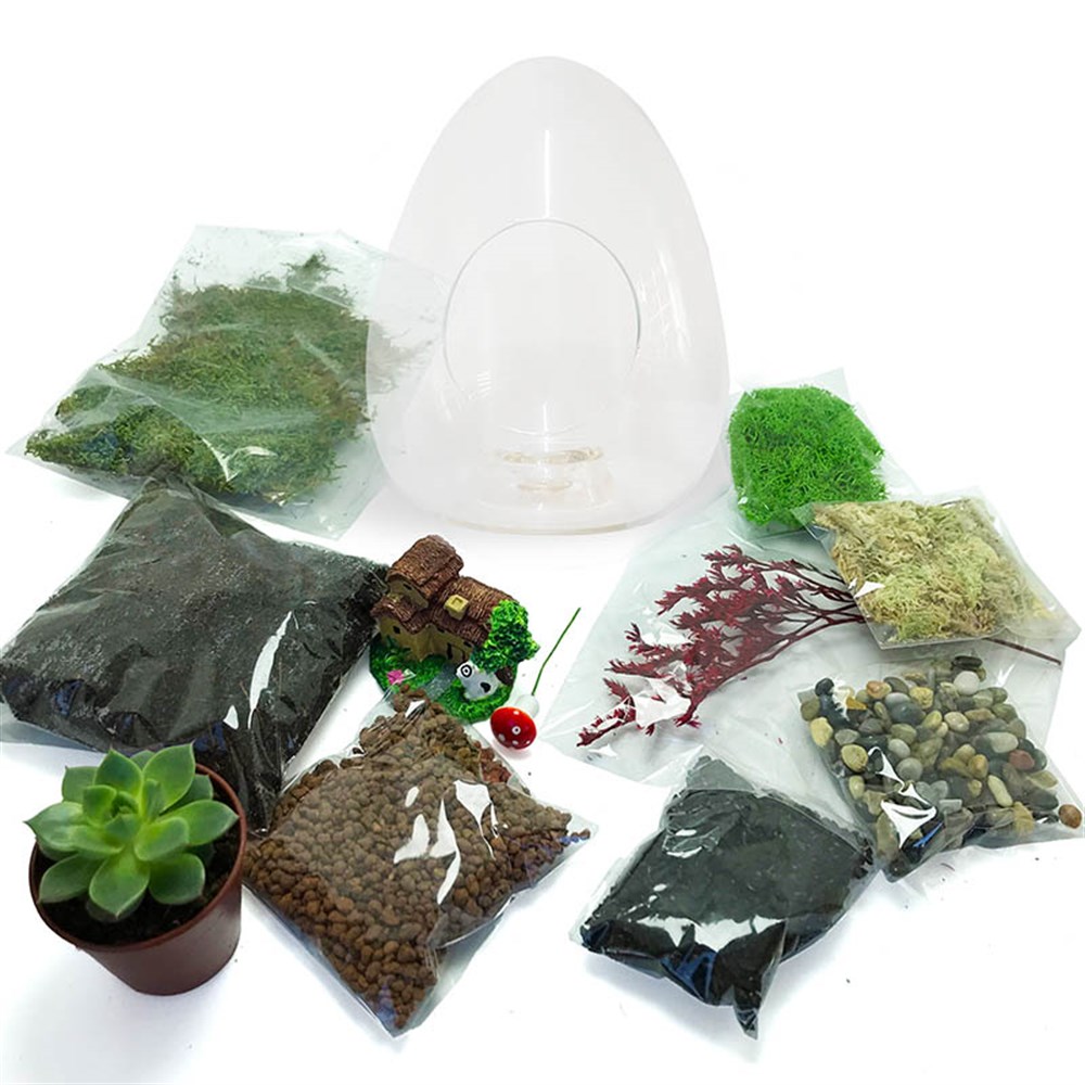 Teraryum Başlangıç Kiti-Yumurta