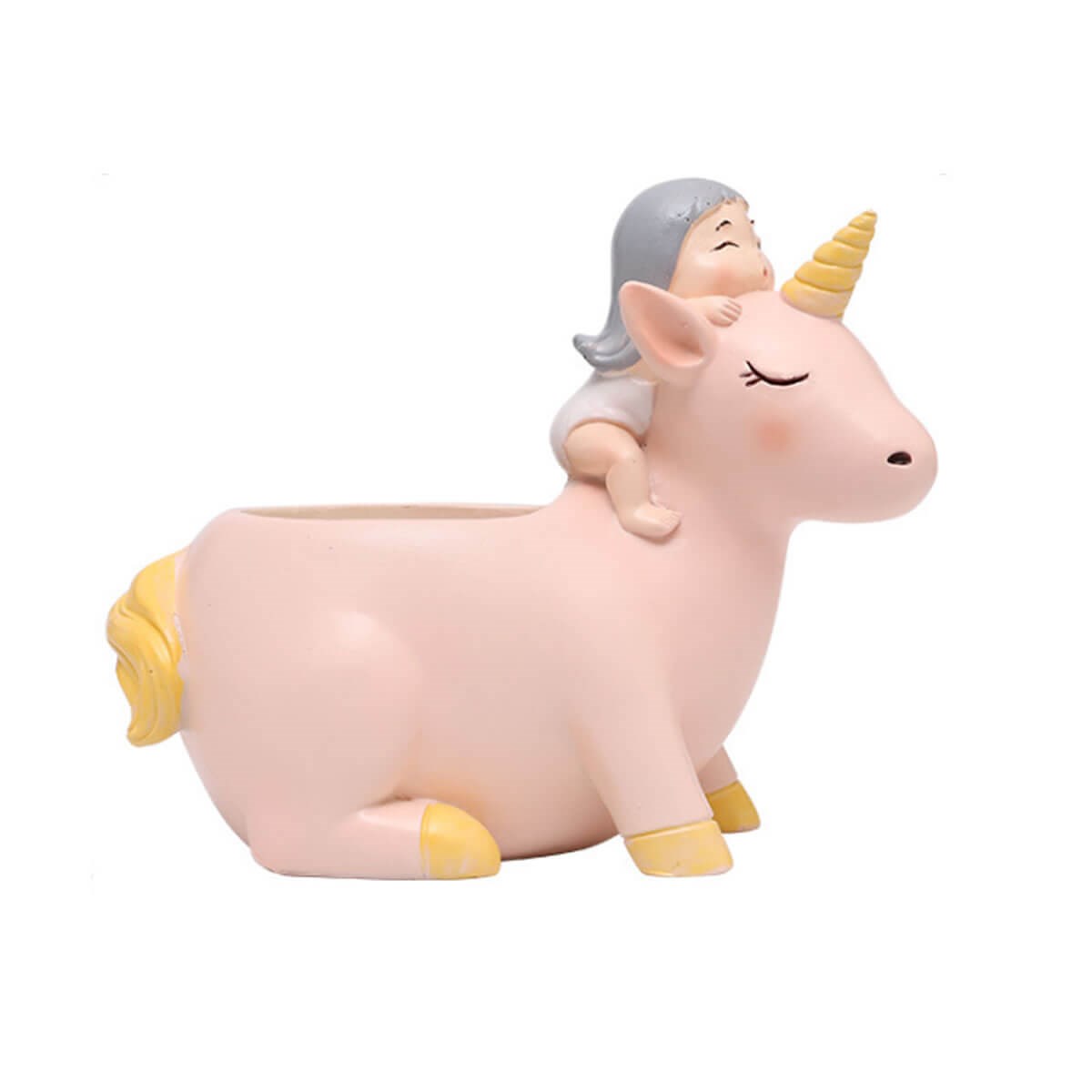 Unicornlu Kız Kaktüs Saksı