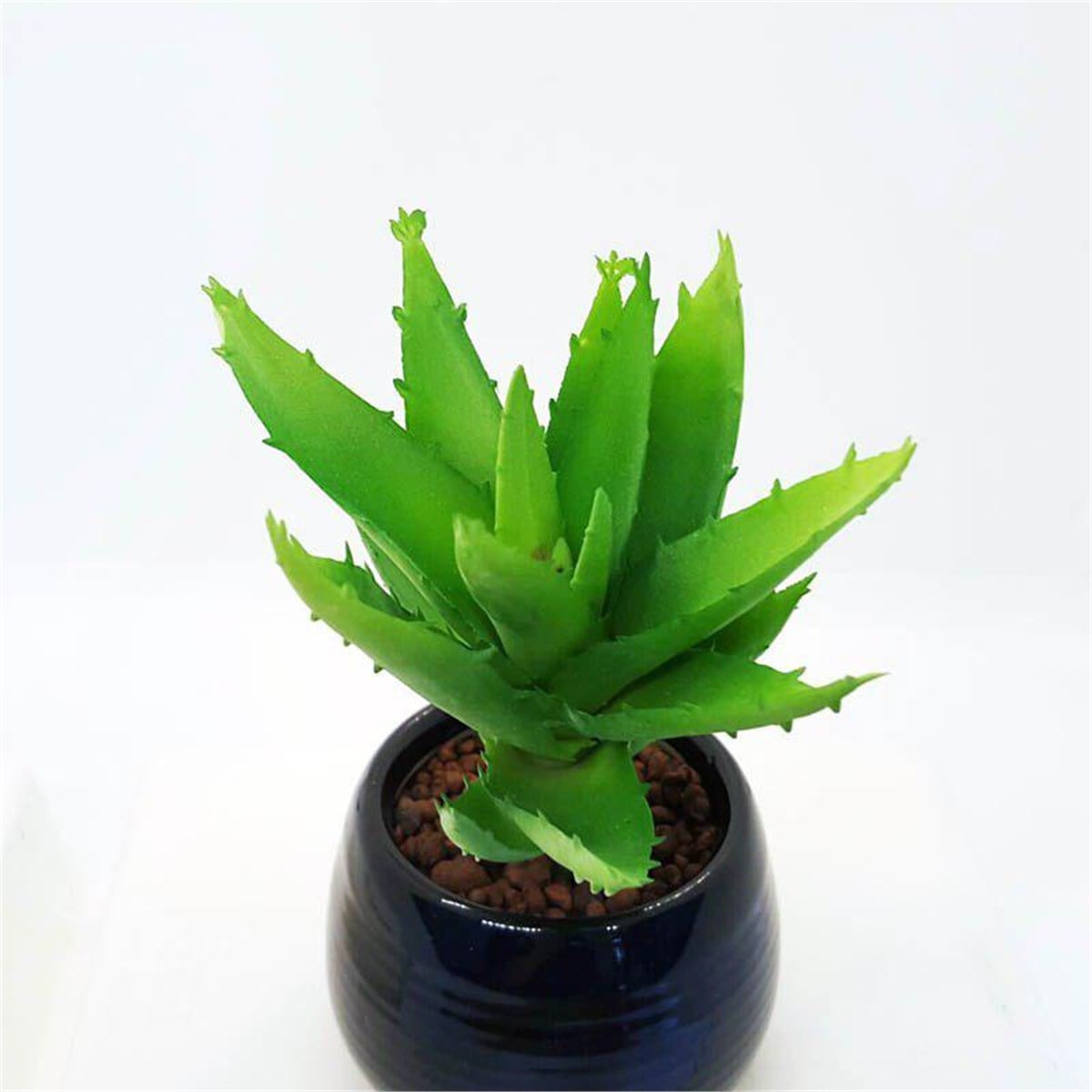 Yapay Aleo Tigertooth