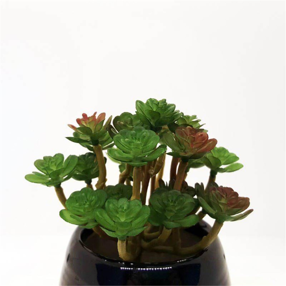 Yapay Demet Sukulent