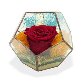 Solmayan Gül Beşgen Vitray