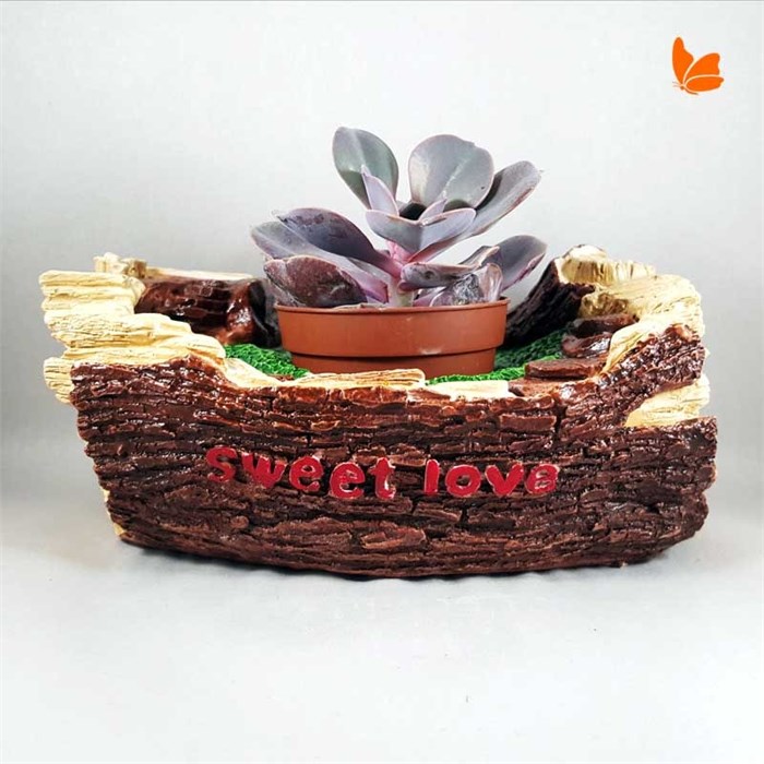 Sweet Love Pot