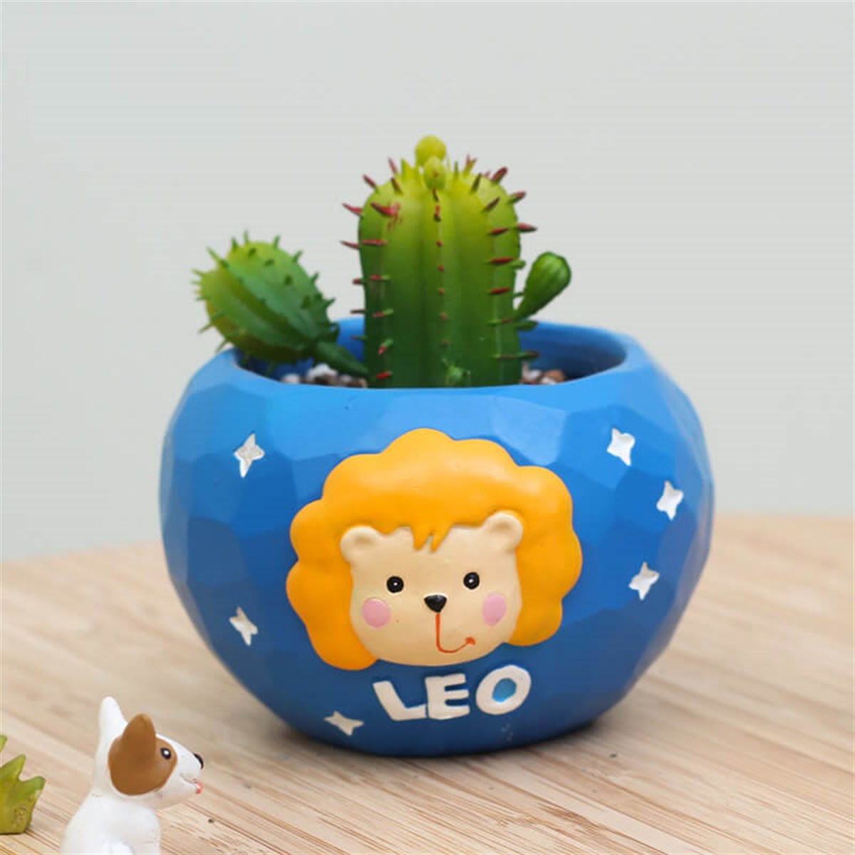 Aslan Burcu Saksı – Kalemlik