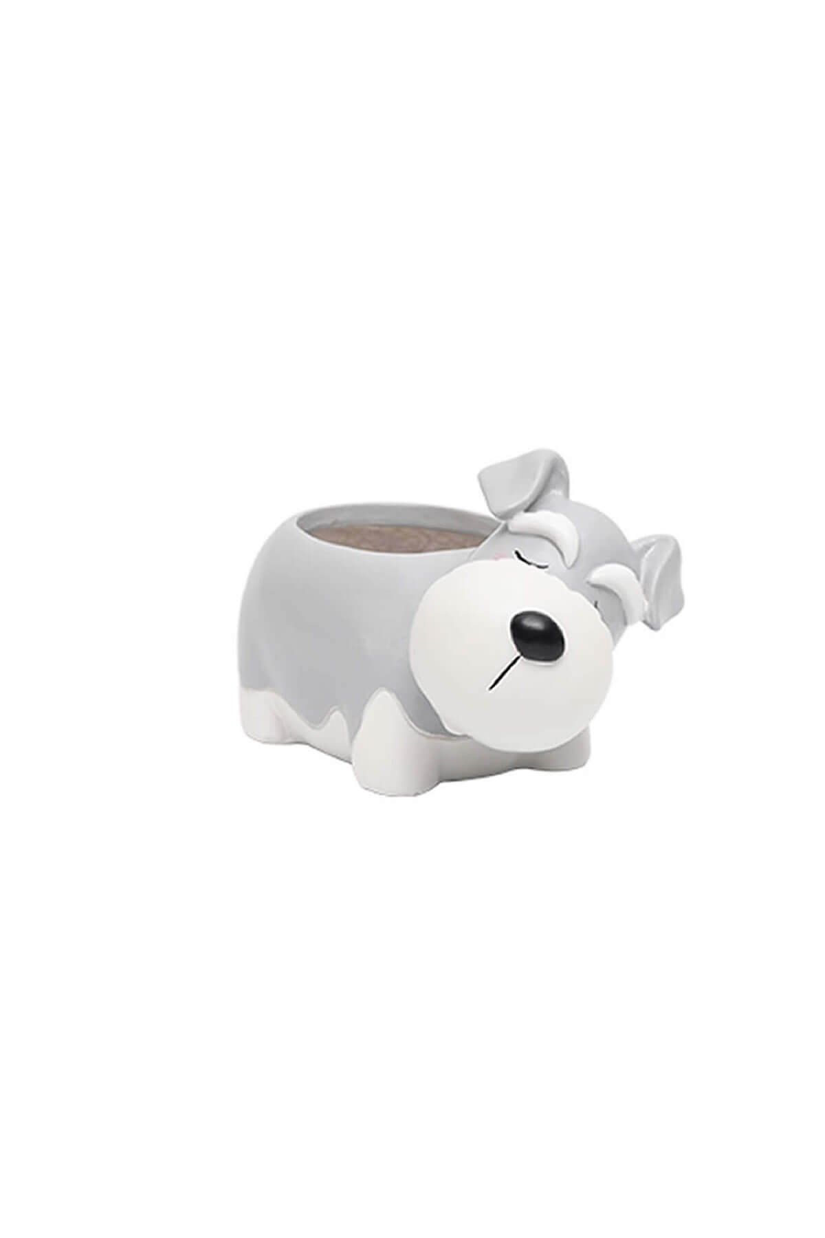 Gri Köpek Kaktüs Saksısı