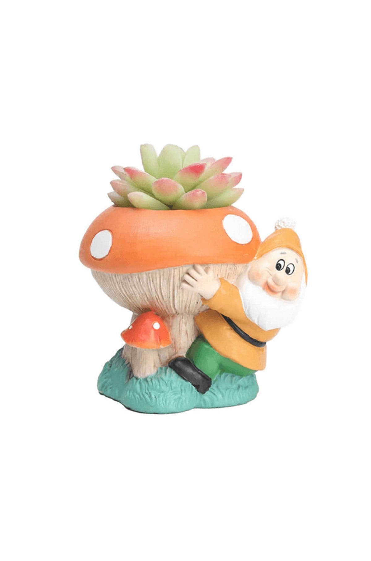 Mantarlı Cüce Kaktüs Saksısı