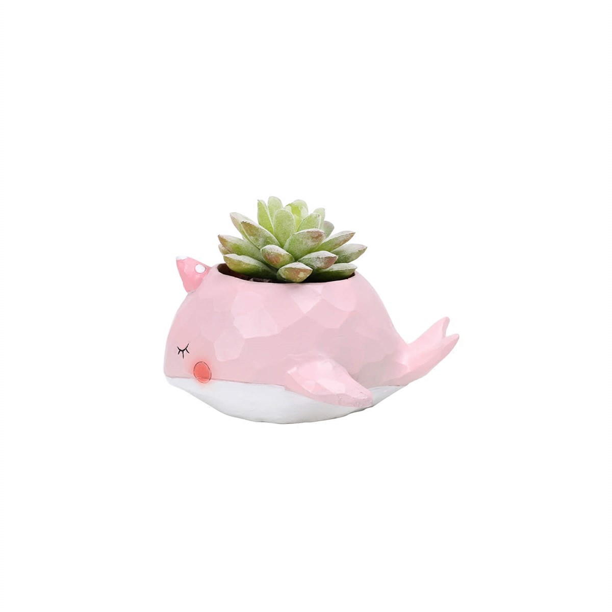 Pembe Balina Kaktüs Saksısı