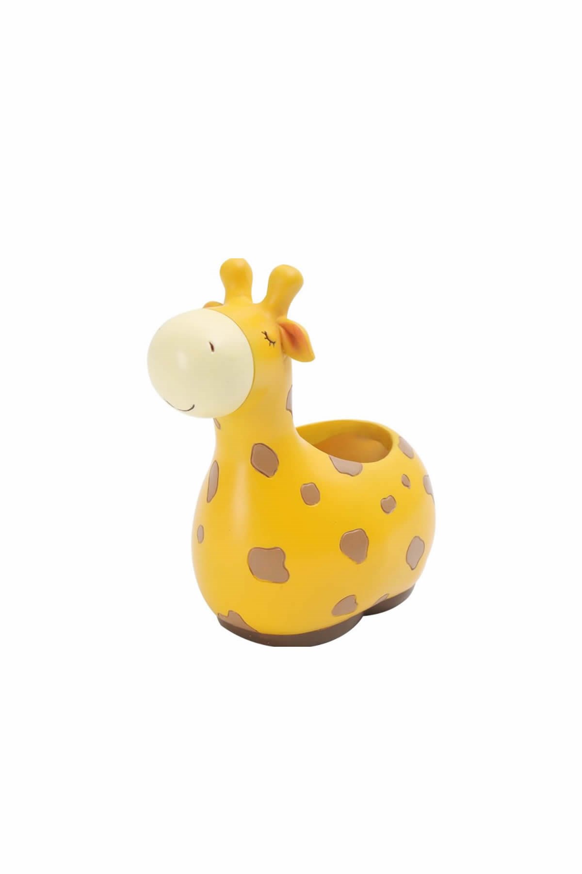 Zürafa Kaktüs Saksısı