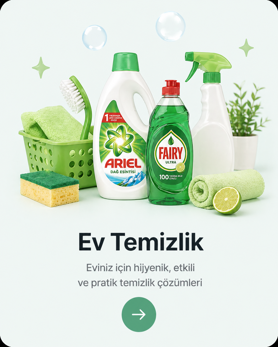 Ev Temizlik