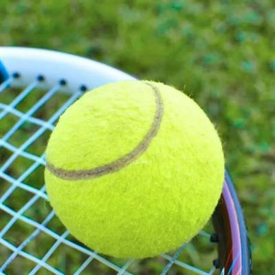 3Lü Tenis Topu Seti Dayanıklı Keçe Kaplamalı Antrenman Maç Ve Egzersiz İçin Tenis Topu