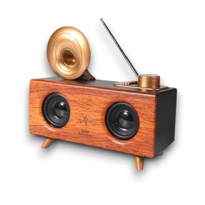 B6 Çift Hoparlörlü Gramafon Speaker Bluetooth Hoparlör