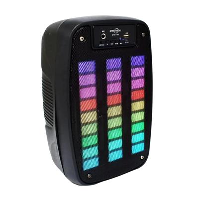 GTS 1793 Mikrofonlu Kareoke Taşınabilir Bluetooth Hoparlör