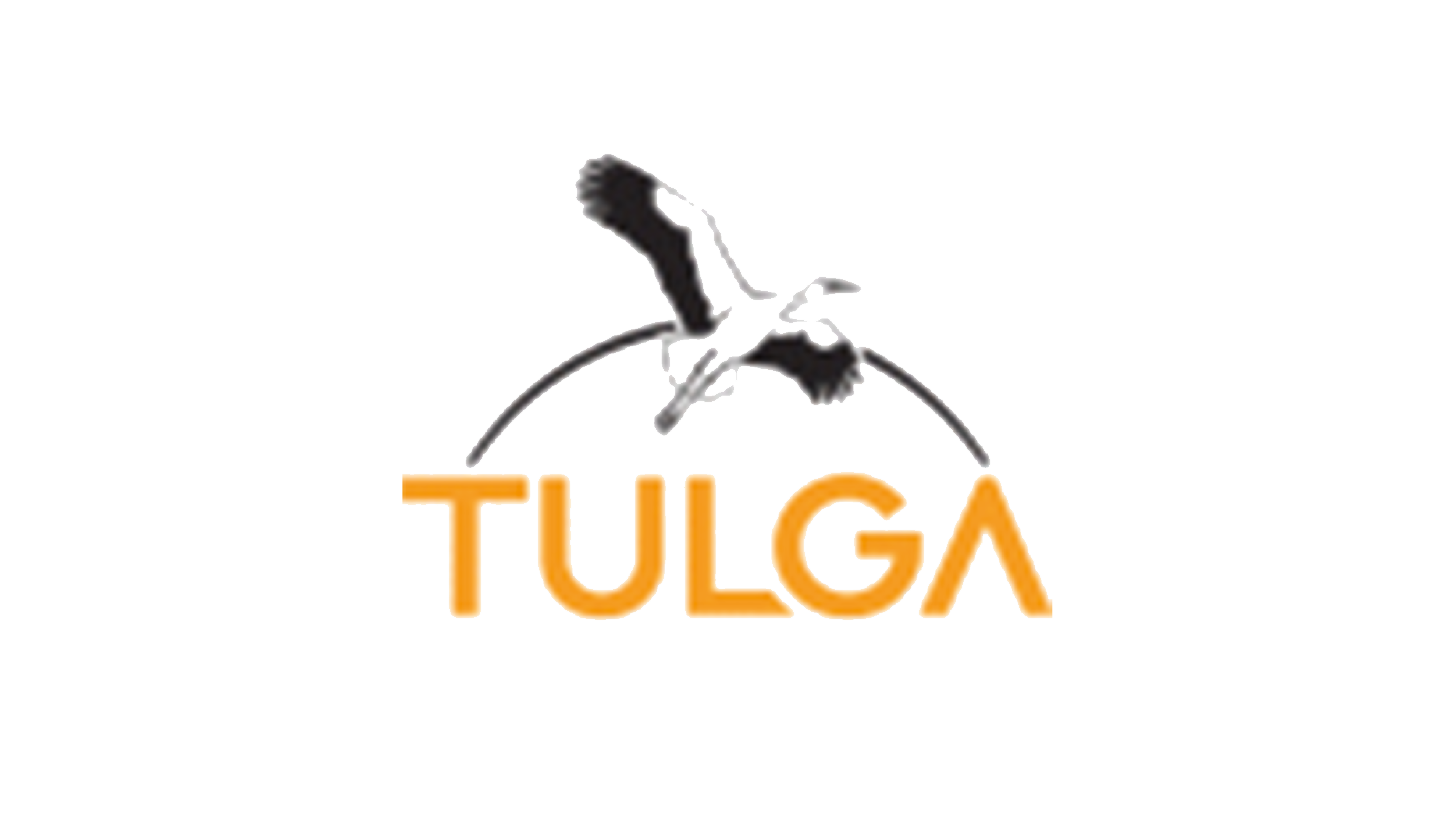Tulga Madencilik