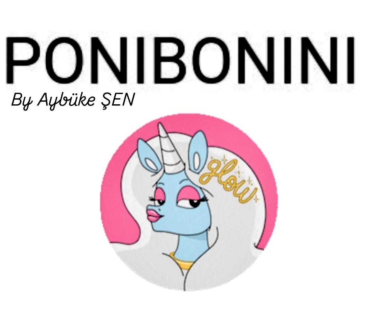 ponibonini by aybüke şen