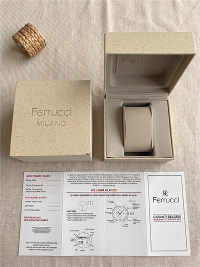 Ferrucci 43 mm Gri Kadran Gri Silikon Kordon Somon Bezel Erkek Kol Saati
