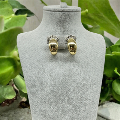 Rivana – VIP Koleksiyon Gold Renkli Taş Detaylı İğneli Küpe