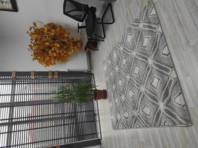 Modern Desenli Krem Gri Halı 160*230