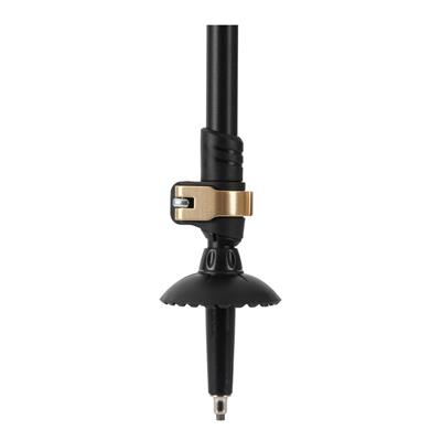 Lafuma ALTIPLANO PAIRS Baton LFS6336 LFV.6322