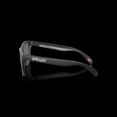 Oakley FROGSKINS Unisex Gözlük 0OO9013-OAK.F7