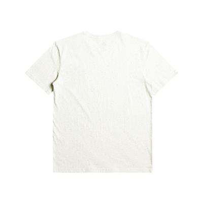 Quıksılver ARCHEDTYPE M TEES Erkek T-shırt EQYZT07283-WDW0