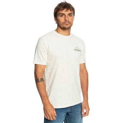 Quıksılver ARCHEDTYPE M TEES Erkek T-shırt EQYZT07283-WDW0