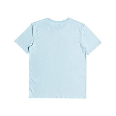 Quıksılver COMPLOGO M TEES Erkek T-shırt EQYZT06534-BGC0