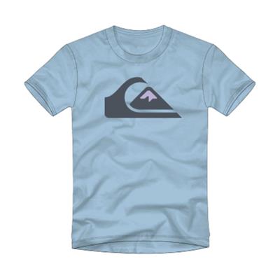 Quıksılver COMPLOGO M TEES Erkek T-shırt EQYZT06534-BGC0