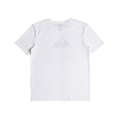 Quıksılver COMPLOGO M TEES Erkek T-shırt EQYZT06534-WBB0