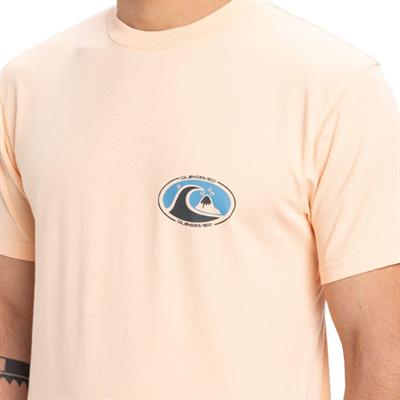 Quiksilver EV FLOWER CHAOS SS Erkek Tişört EQYZT08050-QK.MEF0