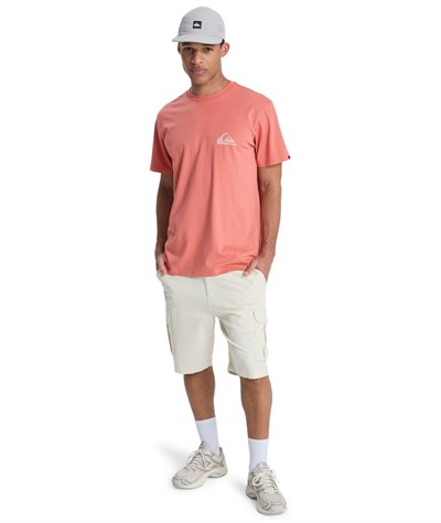 Quiksilver EV MINI LOGO Erkek Tişört EQYZT08181-QK.2020