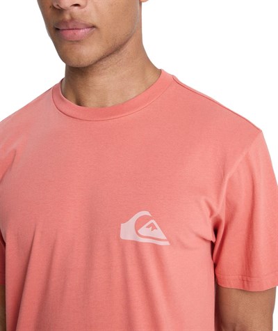 Quiksilver EV MINI LOGO Erkek Tişört EQYZT08181-QK.2020