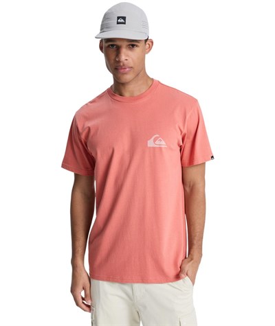 Quiksilver EV MINI LOGO Erkek Tişört EQYZT08181-QK.2020